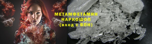 индика Вяземский
