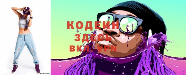 индика Вяземский
