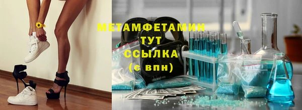 индика Вяземский