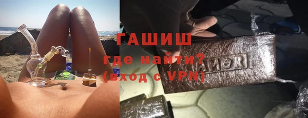 индика Вяземский