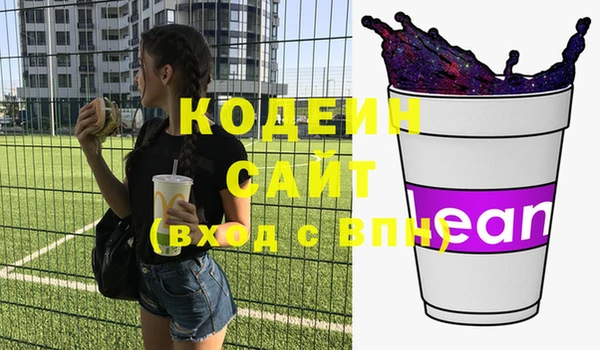 индика Вяземский