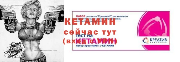 индика Вяземский