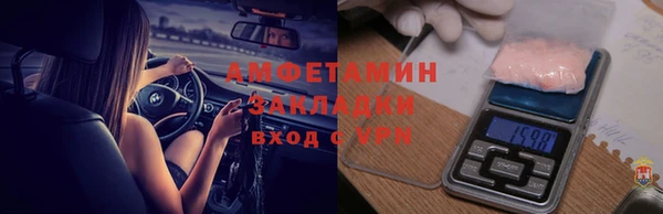 индика Вяземский