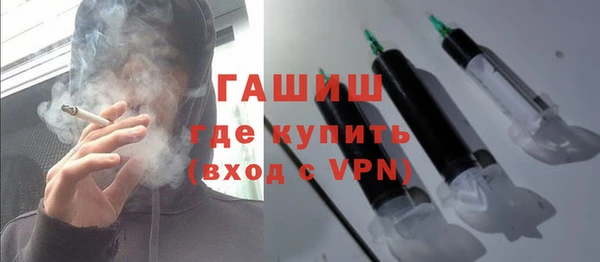 индика Вяземский