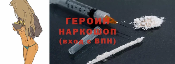 индика Вяземский