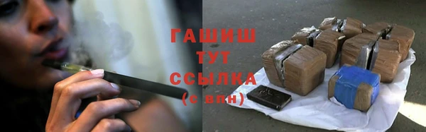 индика Вяземский