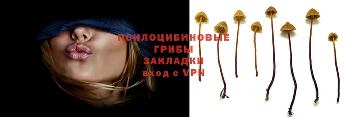 синтетический гашиш Вязники