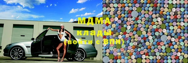 индика Вяземский