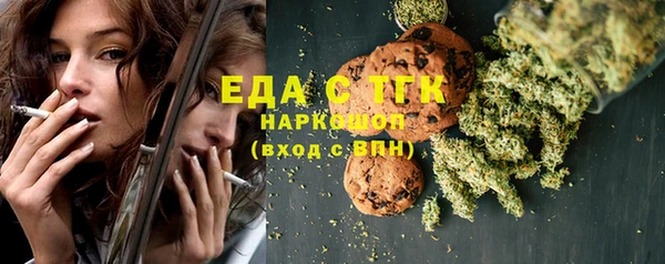 индика Вяземский