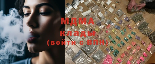 индика Вяземский