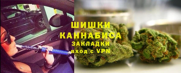 индика Вяземский