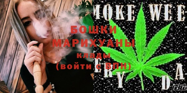 индика Вяземский